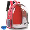 BEIKOTT Zaino per gatti, borsa per il trasporto, zaino per cani, zaino per cani di piccola taglia, cuccioli, cani, conigli, compagnia aerea approvato, ventilato, zaino trasparente per viaggi