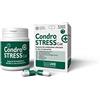 Innovet Condostress, Supporto del metabolismo in Caso di osteoartrite per Cani - Confezione da 30 compresse appetibili