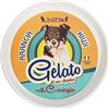Unipro Gelato per Cani e Gatti Fresco Gustoso Kiwi e Arancia
