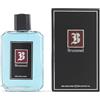 BRUMMEL - After Shave Hombre 250 ml, Bálsamo Brummel para el Cuidado de la Piel, Perfumado, Masculino, Elegante y Sofisticado, con Fragancia Fresca Amaderada y de Larga Duración