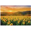 Generic Puzzle per adulti 1000 pezzi famiglia elefante bianco regali colorato cartone animato animali girasoli campo tramonto giallo, 75 x 50 cm