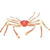 FUNOMOCYA Figura di Granchio per Feste a Forma di Granchio in Plastica Rosso Giocattolo Educativo Realistico per Bambini, Decorazione per Casa e Bomboniere