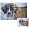 KEDDJI Cane San Bernardo, Puzzle 1000 pezzi Puzzle in legno Giocattolo Gioco per famiglie Decorazione da parete per adulti Adolescenti