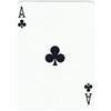 US Playing Card Company Mazzo di Carte Tutte Uguali Dorso Rosso (6 di Fiori)