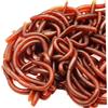 Hperu 60 Pezzi Giocattolo Verme Finto lombrichi Finto Giocattolo Giocattolo di plastica Morbido Elastico lombrichi realistici Simulati Esche da Pesca per la Decorazione di Halloween