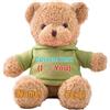 JABECODIFA Orso di Peluche Personalizzato con Testo Foto Personalizzato, Orsacchiotto Peluche come Regalo Personalizzato per Donne Uomini a San Valentino, Regali Anniversario, Regali di Natale (30cm)