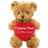 MeterBear Orsacchiotto di peluche personalizzato con foto e testo su cuore, Teddy Bear Orsetto di peluche con cuore come regalo di Mi dispiace per lei e lui per San Valentino, Compleanno (25cm)