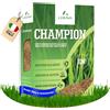 LERAVA CHAMPION semi prato (10m²) festuca arundinacea di qualità resistente a siccità e