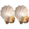 HAVERN Lampada da Parete Moderna in Vetro con Forma di Conchiglia, Lampada da Parete in Ferro per Camera da Letto, Illuminazione Dorata, Applique da Parete per Bagno, per Soggiorno, Corri