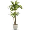 MAIA SHOP Dracaena artificiale 120 cm, pianta finta decorativa iperrealistica, albero tropicale per casa ufficio hotel e interni coperti