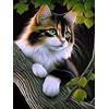 VAIIEYO 5D Diamond Painting Kit Completo Gatto, Diamond Painting Ki Animale,Pittura Diamante 5D Fai da Te, Ricamo con Strass Punto Croce Arte e Artigianato Decorazione per Casa e Pareti 30x40 cm-15