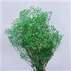 YIWOYI Fiori di Gipsofila Essiccati Naturali, Bouquet di Fiori di Gipsofila Paniculata Freschi Naturali per Regalo, Decorazione per Matrimonio e Casa (Verde chiaro, 40-55 cm, 80 g)