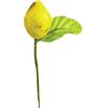 Subitodisponibile 144 limoni medi con foglia DECORAZIONE BOMBONIERA Frutto Limone | Gialli con foglie verdi | composizione estiva primaverile | confezionamento bomboniere
