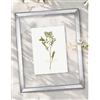 Bildershop-24 Telaio in vetro doppio con doppi vetri, Prio in Argento vintage lucido 29,7x42cm (DIN A3) con vetro acrilico, cornice per quadri con doppi vetri