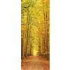 A.Monamour Adesivo Porta Autoadesiva Sentiero Nel Bosco D'Autunno Vinile PVC Adesivi per Porte Interne 3D Pellicola Adesiva Poster Sticker Murale Parete Carta da Parati