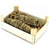 Generico Cassetta 1 kg Sughero Corteccia presepe Box pezzi assortiti varie misure per presepio Napoletano casolari decorazione