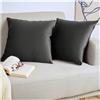 Blumtal Set di 2 Federe Cuscini Divano 45x45 cm in Velluto, con Chiusura Lampo Invisibile, Eleganti Copricuscini Divano in Morbido Velluto,Taglia 45 x 45, Antracite