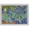 ConKrea - Quadro su Tela Canvas INTELAIATO - con Cornice - Irises - Fiori di Iris per Van Gogh - 50x70cm - Stile Contemporaneo Bianco - (cod.2650)