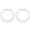 Aorwh 2 Pezzi FC8T9/CW Lampadina Fluorescente Circolare, Lampadine Circolari T9 Rotonde da 8 Pollici 22W di Ricambio per Apparecchi da Soffitto Circolari