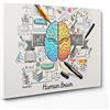 ConKrea QUADRO SU TELA CANVAS - INTELAIATO - PRONTO DA APPENDERE - Cervello Idea Concept - Psicologia - Brainstorm Business - 50x70cm - Senza Cornice - (cod.2853)