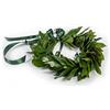 coronedilaurea.com Corona di alloro fresca Royal fatta a mano in Italia | Corona lauream con foglie naturali e fiocchetti in raso | Tradizionale corona d'alloro per cerimonia laurea e festeggiamenti ! Royal verde