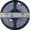 Mondo Strisce Led: Bobina da 5 metri RGB + Bianco Freddo 6000k (RGB+W), 600Led, 120 Watt(Totali), 10.000 Lumen(Totali) 24V RGBW. Striscia Led Strip ip67