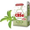 Yerbox CBSé Yerba Mate Tè Endulife 500g + Campione Regalo (40g) Ricco di antiossidanti, vitamine, accelera il metabolismo, senza zucchero | Argentina