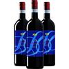 BALERIN Balerìn Valpolicella 2019-90 punti James Suckling - Vino Veneto Rosso Biologico - DOC - 0.75L (3 Bottiglie)