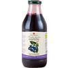 Brezzo Frutta da Bere Bio in succo 750ml (Mirtillo)