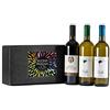 CUVEA Cesto Regalo Vini Liguri - Confezione Vini Liguria con Rossese D.O.C. di Dolceacqua, Vermentino e Pigato Riviera Ligure di Ponente D.O.C.