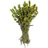 AgoraMarket Tè di Montagna Greco Premium Malotira 220g - 1,95Kg 100% Naturale Sideritis Syriaca Malotira (220 grammi)