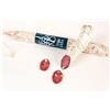 Arcibold Salame Fabriano 550 gr. salame marchigiano italiano, Corte Marchigiana Pack 2 unitá