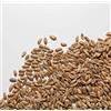 Il Contadino - Antichi Sapori FARRO PERLATO ITALIA | Il Contadino | Legumi Secchi (5 Kg)
