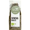 tee verliebt FRUTEG Tè verde organico Sencha Makoto | Tè verde puro allentato dalla Cina | Dopo lo stile giapponese | Lieve speziato nel gusto | da agricoltura biologica certificata | 100 grammi