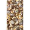 Generico Caramelle Dure al Latte e Miele, 1 kg
