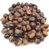 AgoraMarket Semi di Guaranà Secchi 40g - 1,95Kg Paullinia Cupana (85 grammi)