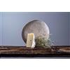 Käserei Sexten Formaggio di malga Sesto ca. 500 gr. - Caseificio di Sesto
