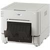 DNP DS-RX 1 HS