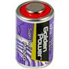 AccuPower Batteria PX27 Alkaline Photo, 4AG12, 4LR43, 4NR43, EPX27