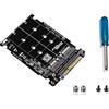 Hztuang Adattatore da SSD M.2 Un U.2 Adattatore 2In1 M.2 NVMe e SATA-Bus NGFF da SSD Un PCI-E U.2 SFF-8639 Convertitore PCIe M2, Shell