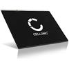 CELLONIC 1x Batteria compatibile con Apple iPad Air - A1474, A1475