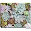 Armanza Tappetino per mouse, grazioso tappetino per mouse con piante grasse di cactus, quadrato, lavabile, personalizzabile, con design, per gaming, ufficio, casa, base in gomma antiscivolo, tappetino