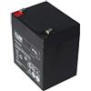 FIAMM Batteria ricaricabile al piombo FG20451