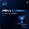 Adobe Lightroom w Classic for Enterprise