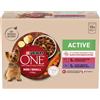 PURINA ONE Mini Active Manzo & Anatra Umido per cane - Set %: 20 x 85 g