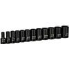 Capri Tools da 3/8 Drive - Set di chiavi a bussola semi-profonde SAE, 5/16 a 1, 12 pezzi