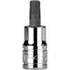 Capri Tools TP45 Star Plus Bit Socket, 3/8 Drive