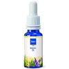 Sixtus Italia Sixtus nageloel, confezione da (2 X 10 ML)