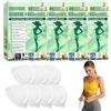 Ajuanbazha 4 Scatole Moringa Cerotti Dimagranti 10 IN 1, Patch Nano Microneedle dimagrante, Moringa x Berberina Cerotto, Nano Cerotto per Uomini e Donne
