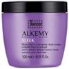 Generico Technique Soul of Hair Sleek Maschera Lisciante Anti-Crespo, Capelli Lisci e Setosi, 500 ml